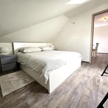 Thannt3-centre Ville-garage Prive- Centre Apartment Colmar