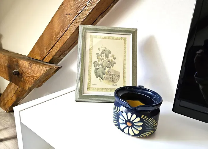 Thannt3-centre Ville-garage Prive- Centre 公寓 科尔马