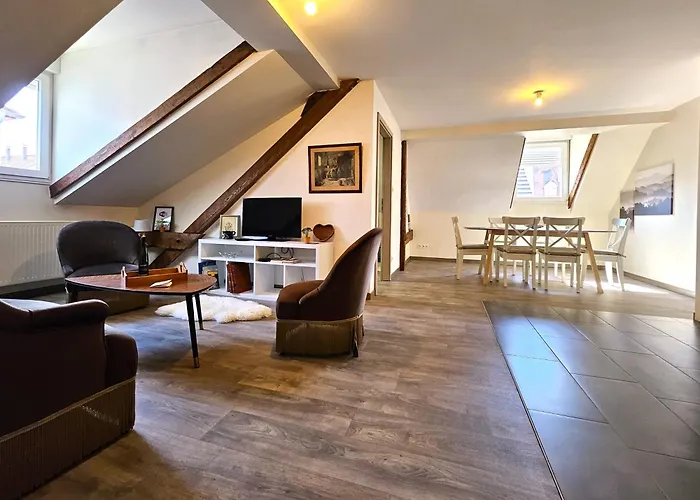 Thannt3-centre Ville-garage Prive- Centre