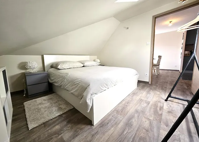 Thannt3-centre Ville-garage Prive- Centre Apartment Colmar