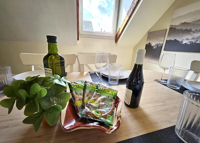 Thannt3-centre Ville-garage Prive- Centre * 科尔马